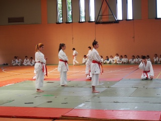Image description
